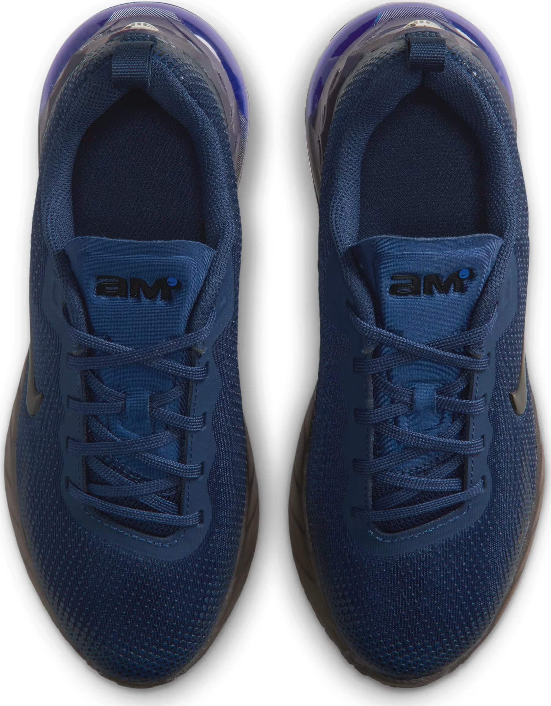 Nike Air Max Phoenix