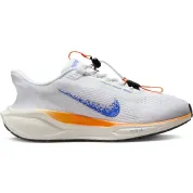 Nike Air Zoom Pegasus 41 EasyOn Blueprint Multi-Color (Women's)