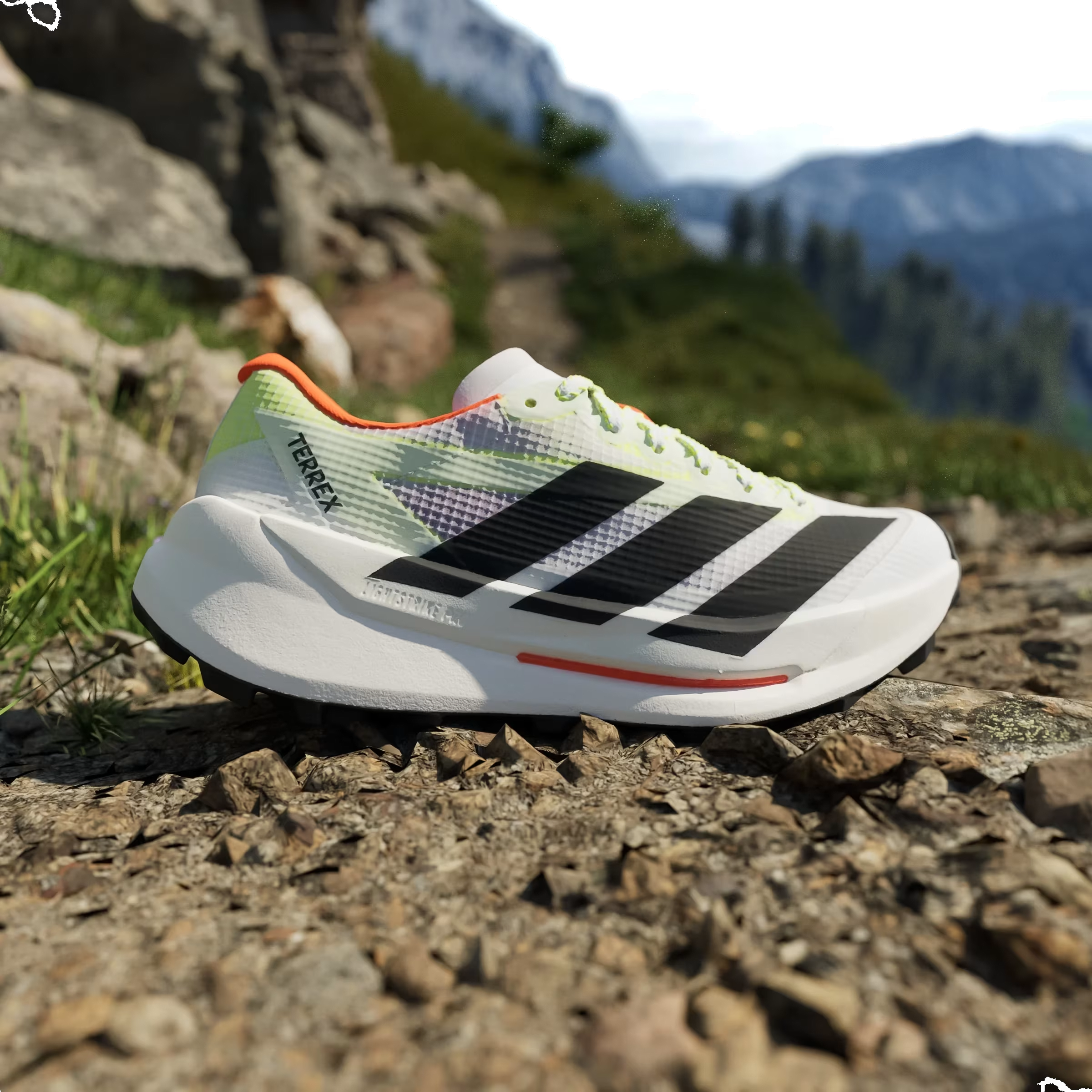 adidas Terrex Agravic TT
