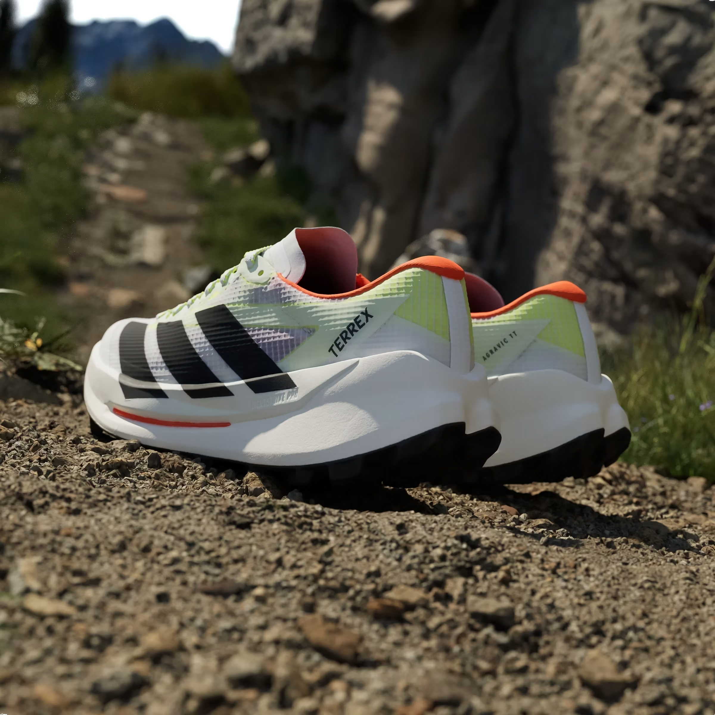 adidas Terrex Agravic TT