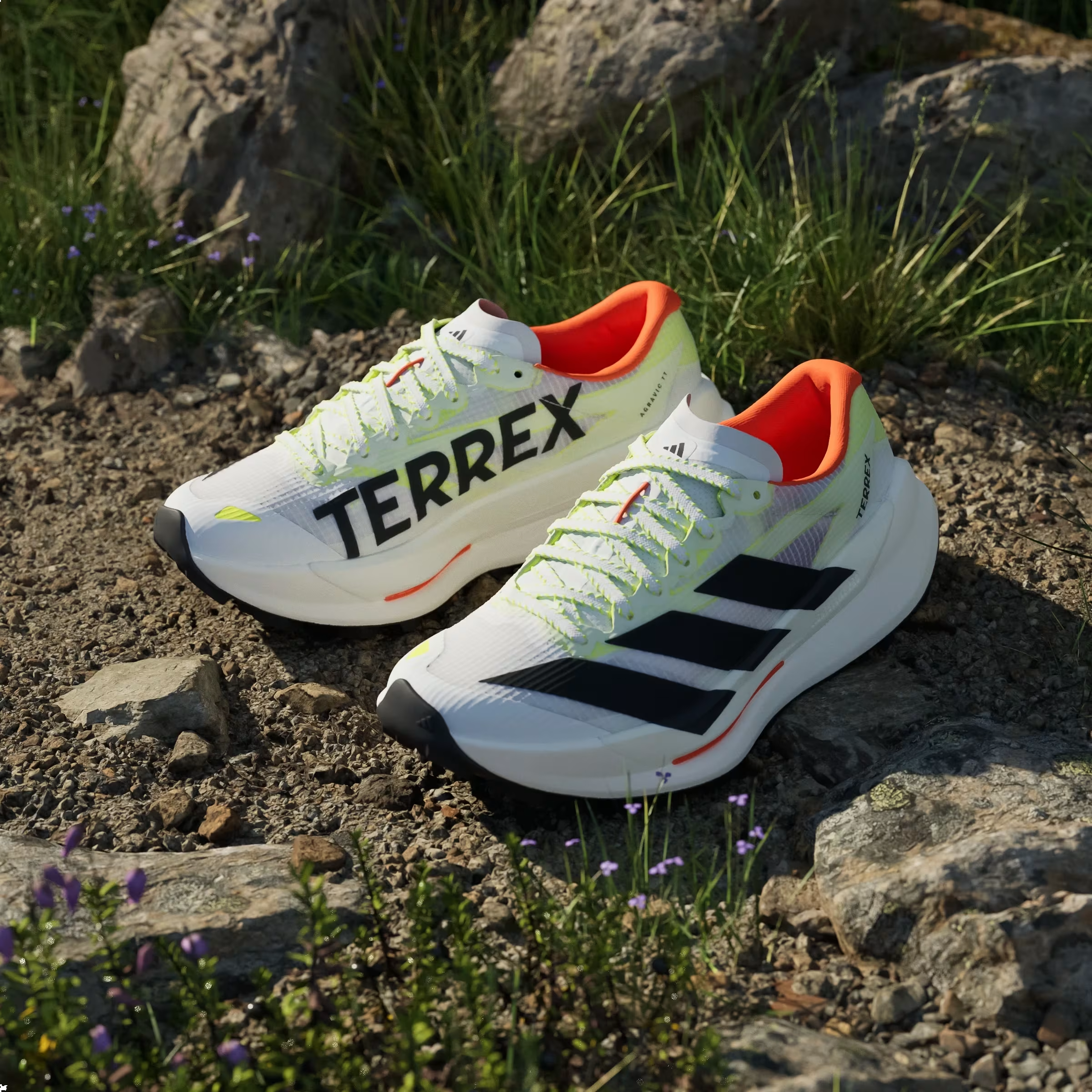 adidas Terrex Agravic TT