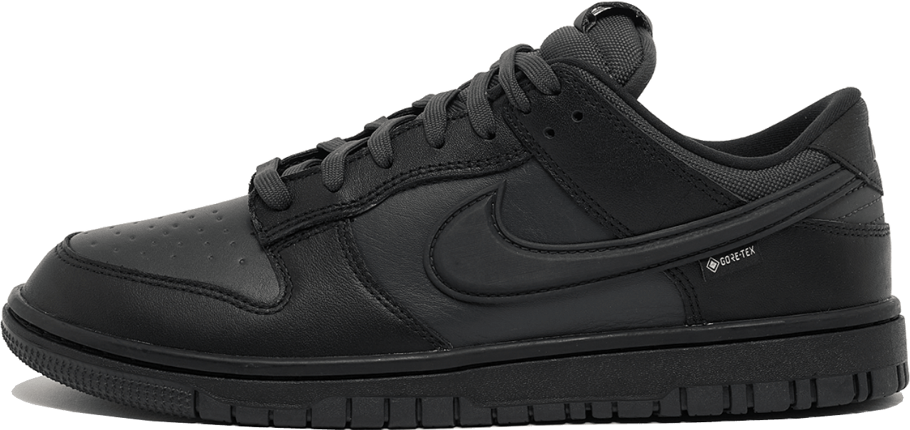 Nike Dunk Low Gore-Tex "Triple Black"