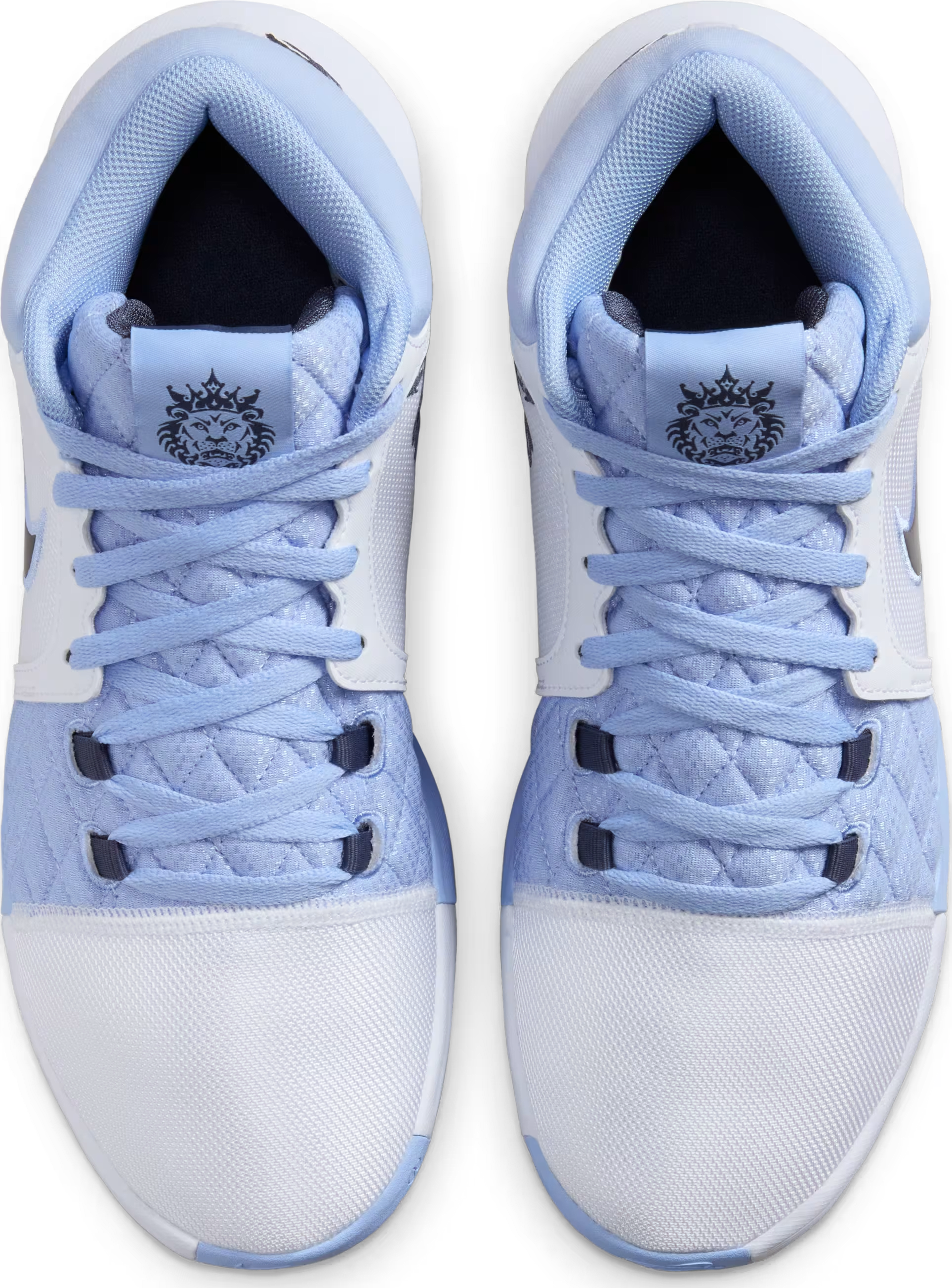 Nike LeBron Witness 8 UNC