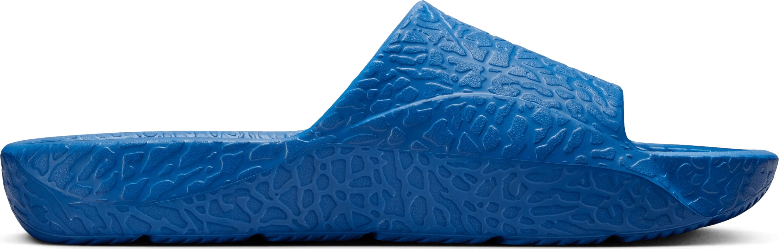 Air Jordan Franchise "True Blue"