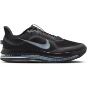 Nike Pegasus Premium"Black Metallic Silver"