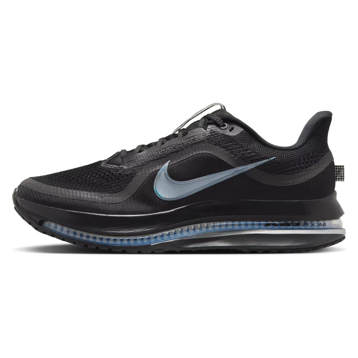 Nike Pegasus Premium"Black Metallic Silver"