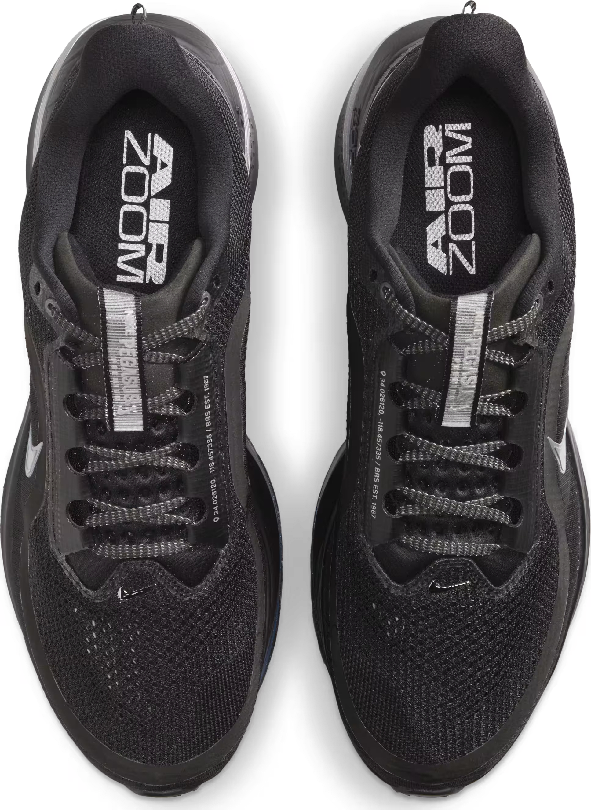 Nike Pegasus Premium"Black Metallic Silver"