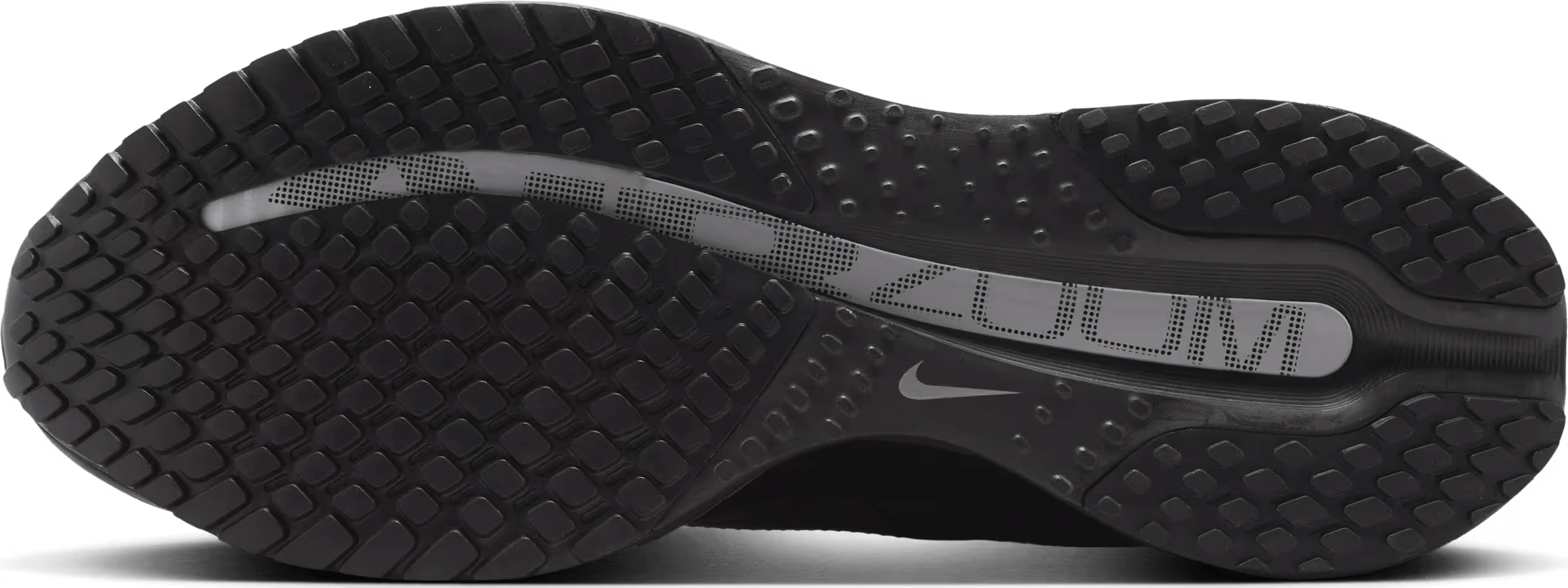Nike Pegasus Premium"Black Metallic Silver"