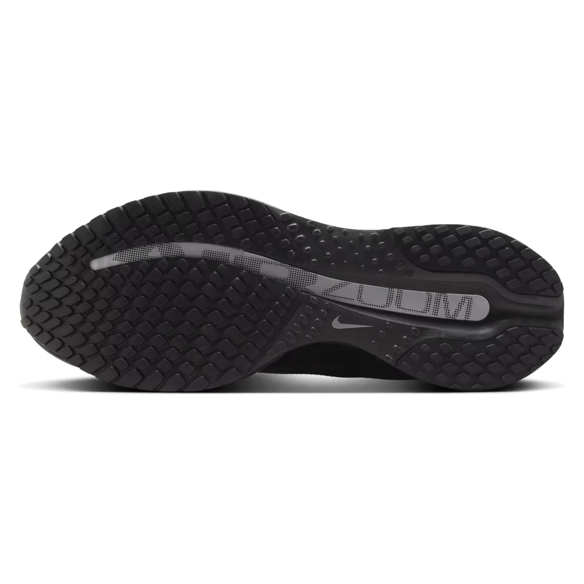 Nike Pegasus Premium"Black Metallic Silver"