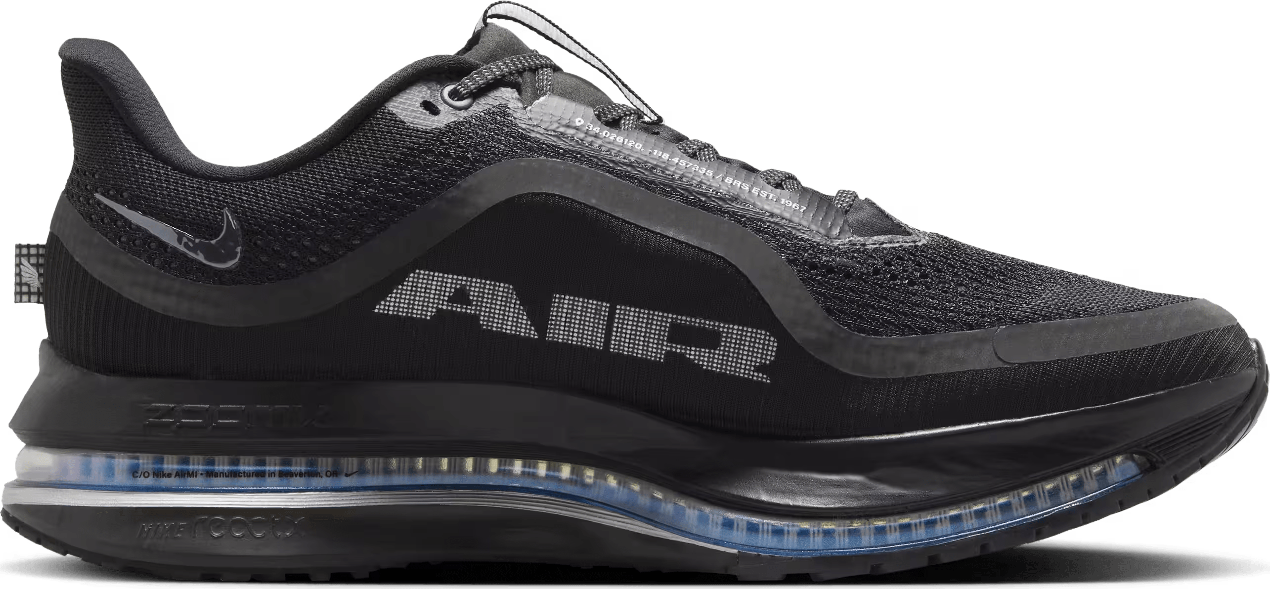 Nike Pegasus Premium"Black Metallic Silver"