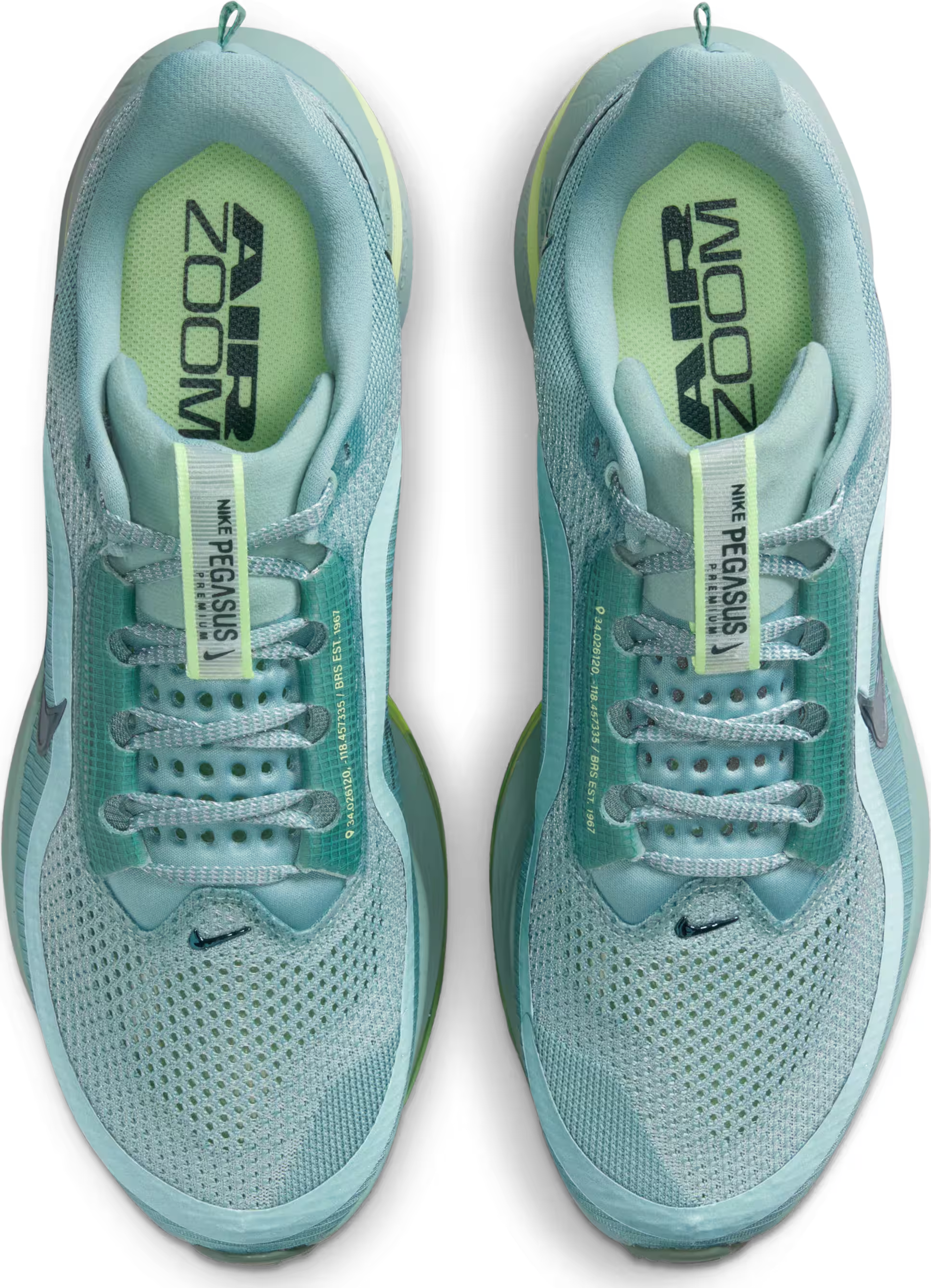 Nike Pegasus Premium "Seaweed"