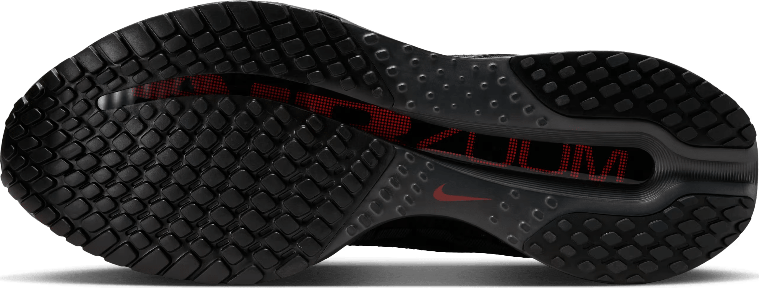 Nike Pegasus Premium "Black Anthracite"