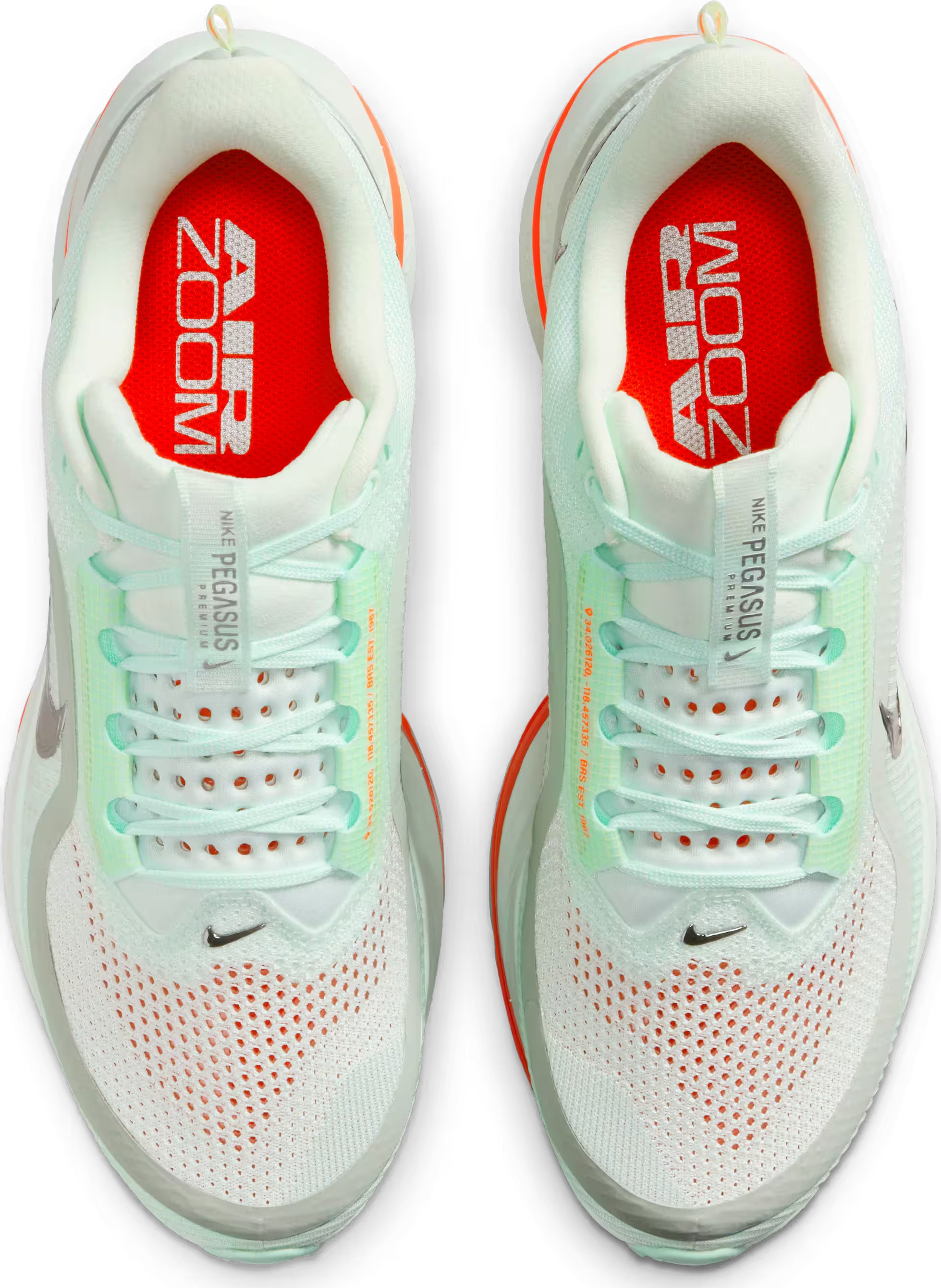 Nike Pegasus Premium "Mint Foam"