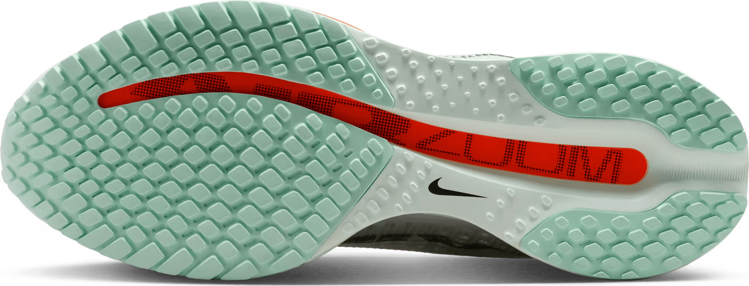 Nike Pegasus Premium "Mint Foam"