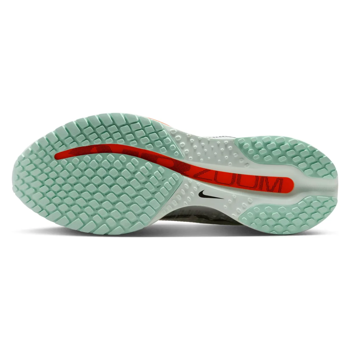 Nike Pegasus Premium "Mint Foam"