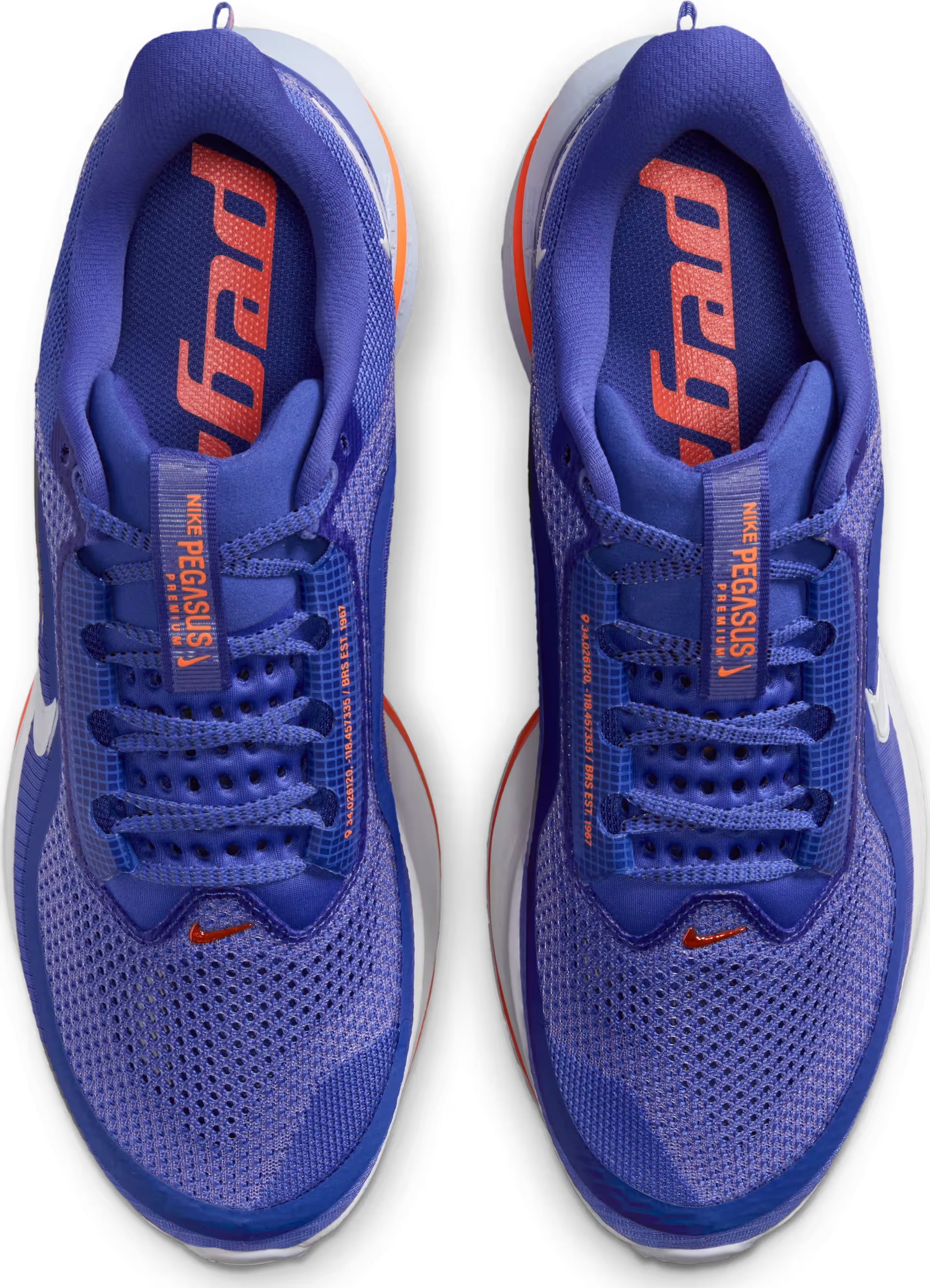 Nike Pegasus Premium "Lapis Total Orange"