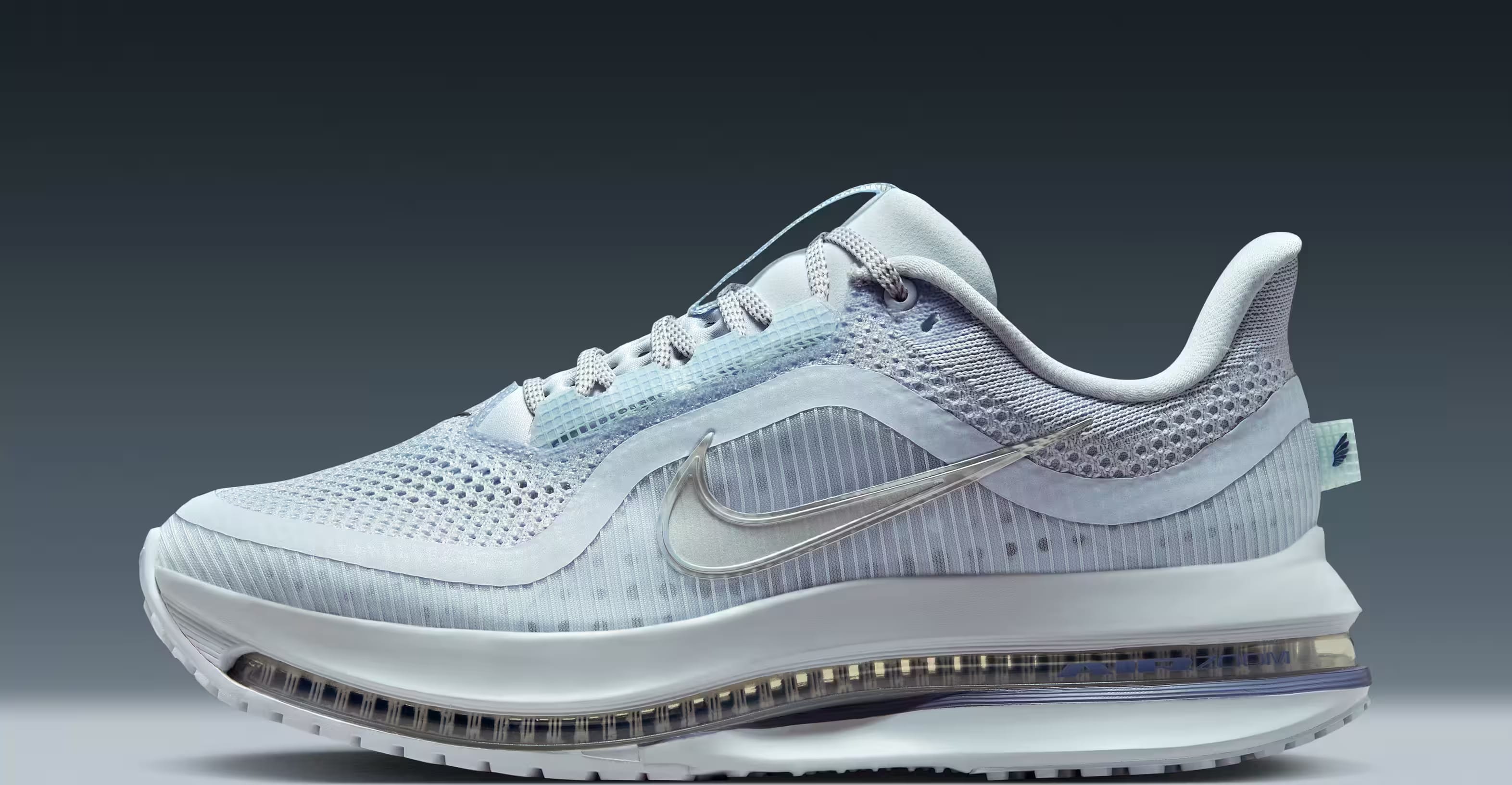 Nike Pegasus Premium "Football Grey"