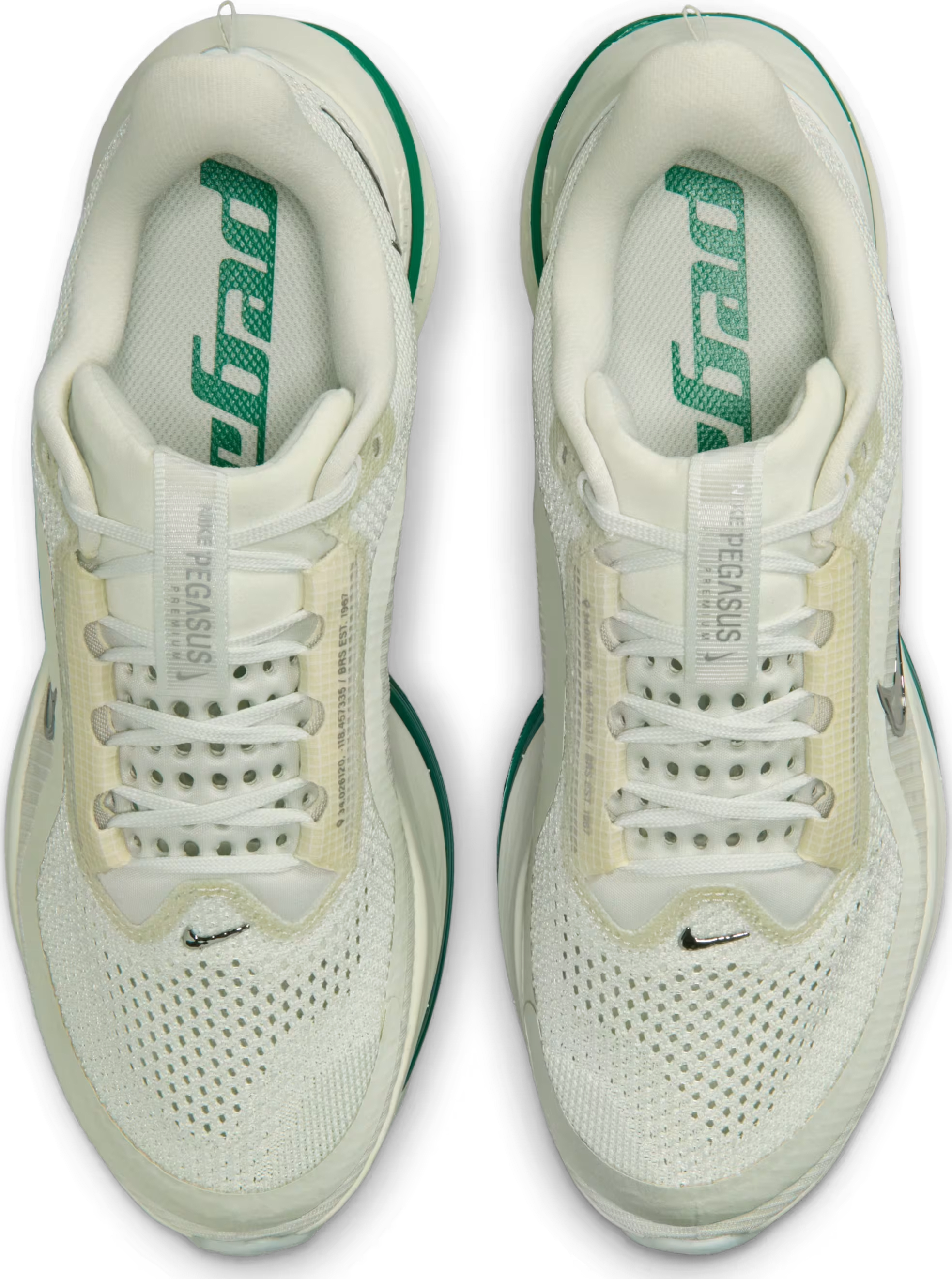 Nike Pegasus Premium Wmns "Sea Glass"