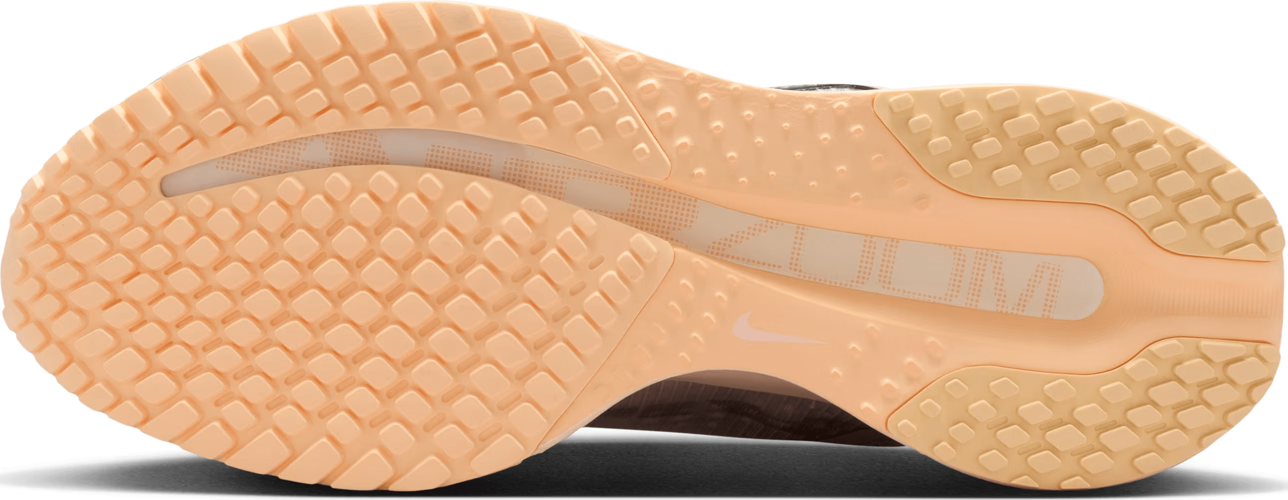 Nike Pegasus Premium Wmns "Light Bone Arctic Orange Silver"