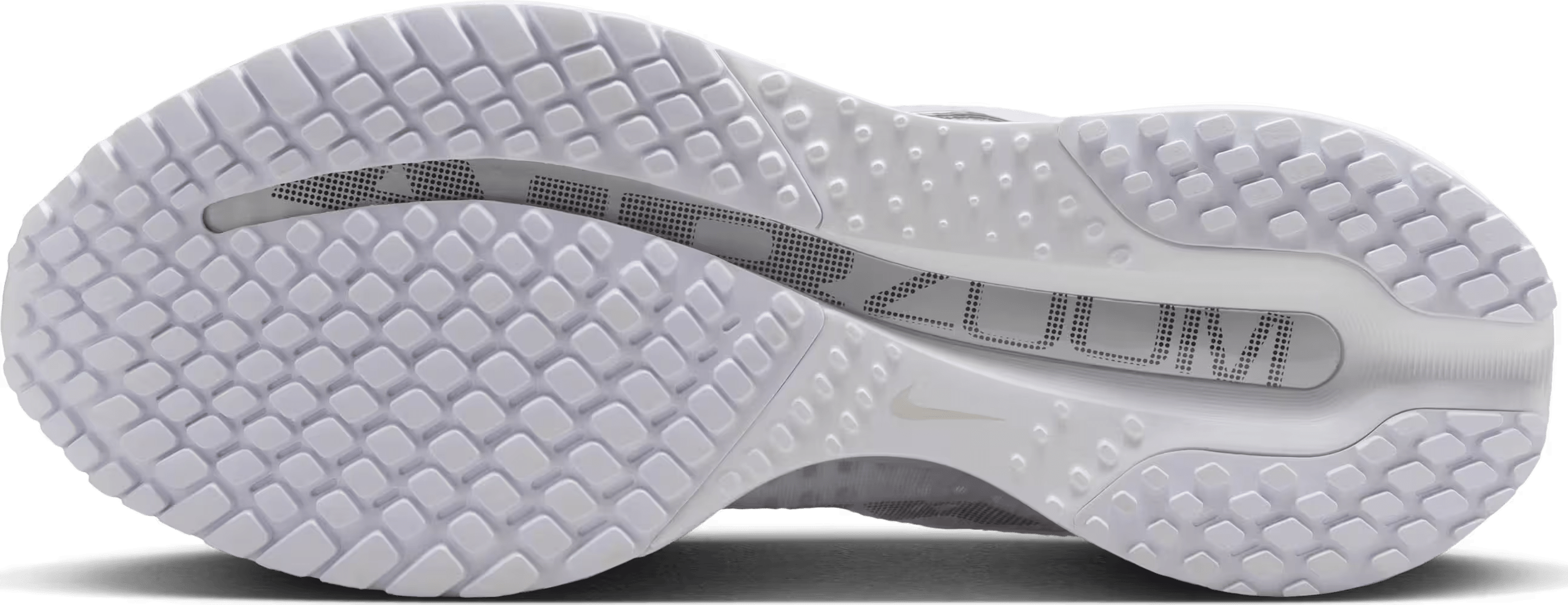 Nike Pegasus Premium Wmns "White Metallic Silver"