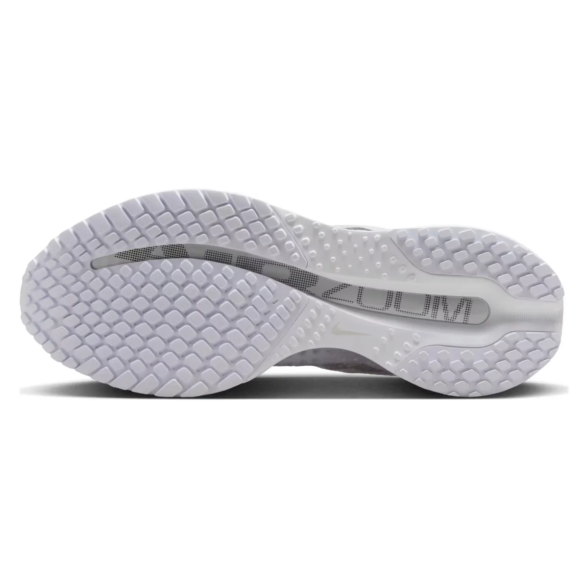 Nike Pegasus Premium Wmns "White Metallic Silver"