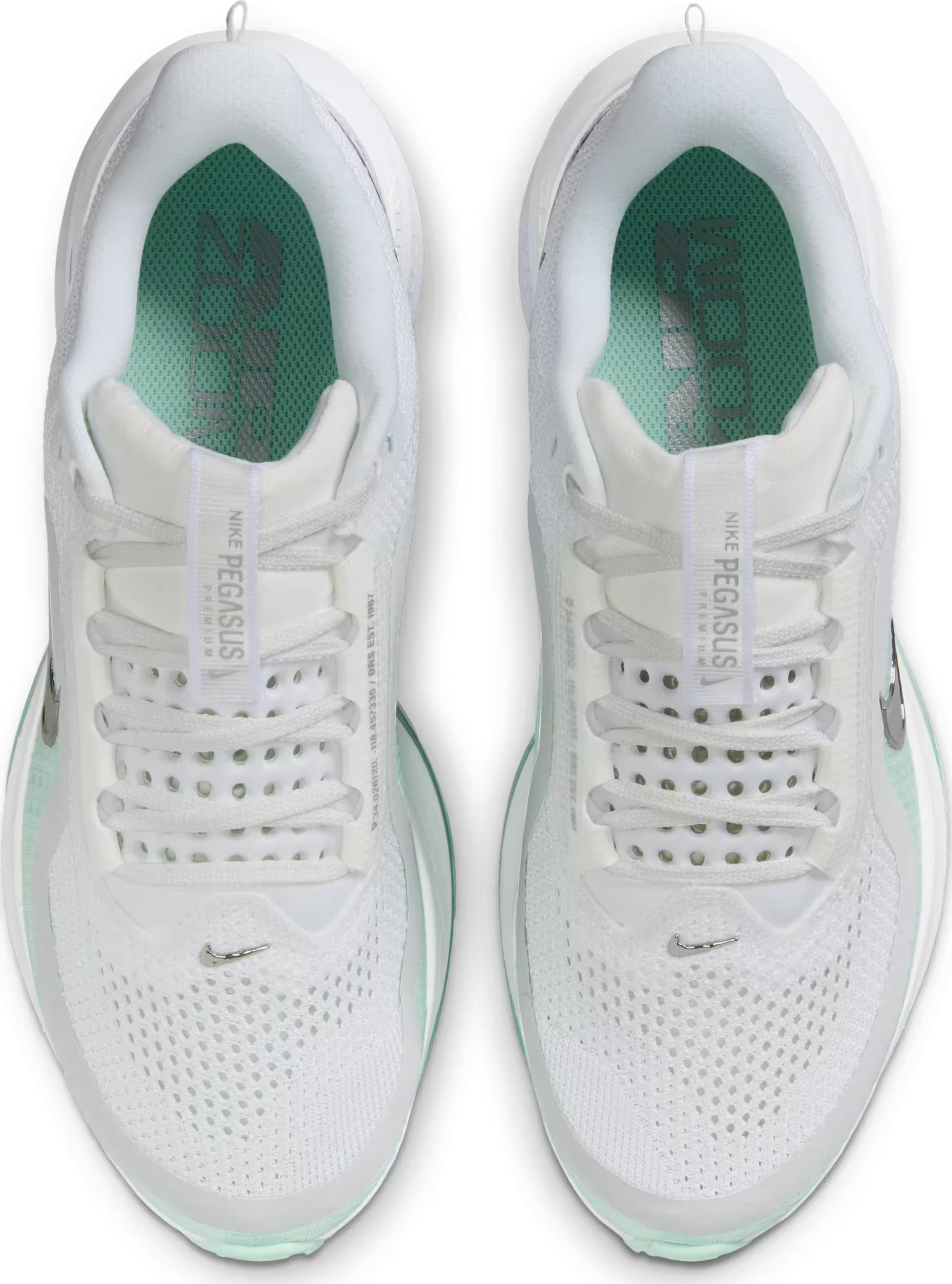 Nike Pegasus Premium Wmns "Mint Foam"