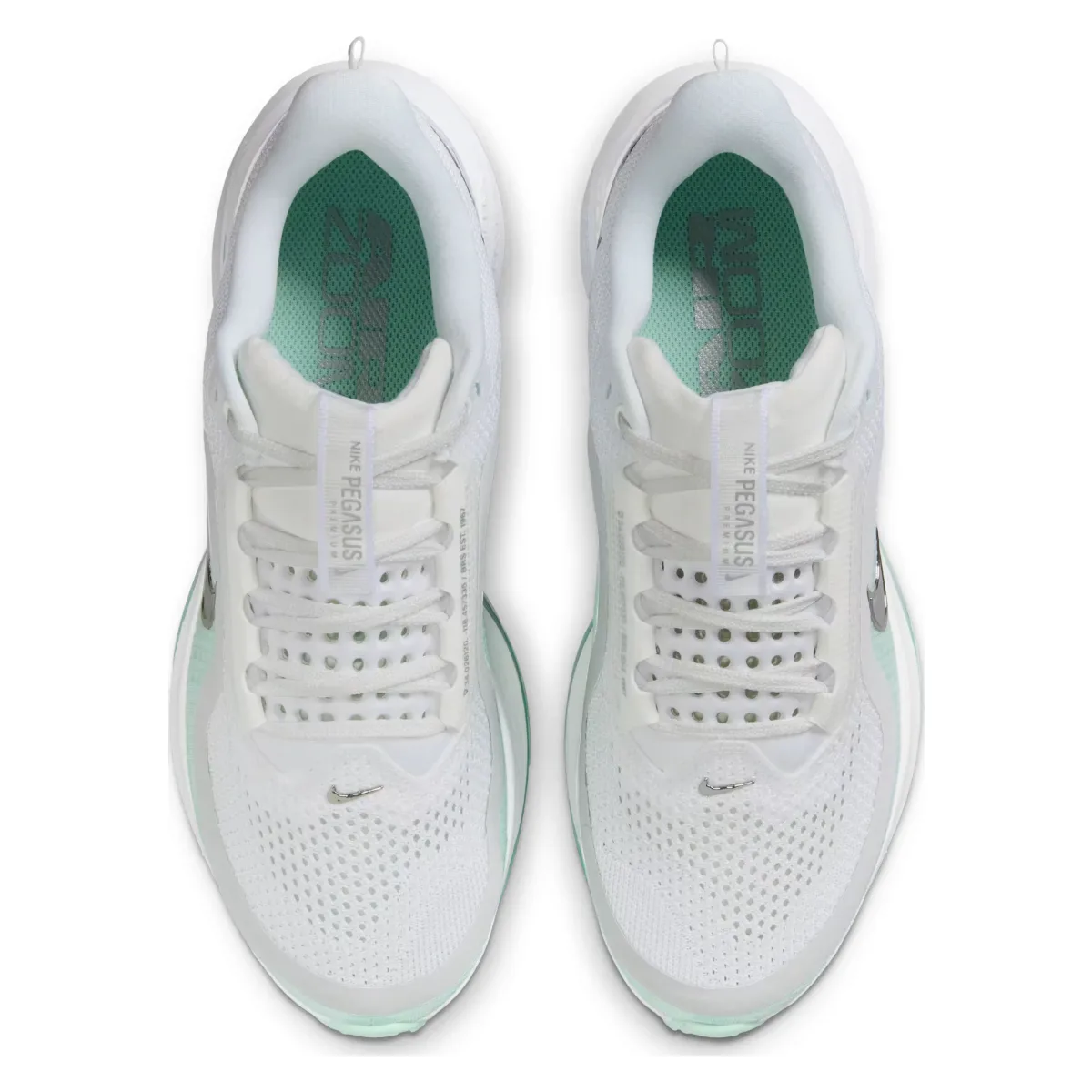 Nike Pegasus Premium Wmns "Mint Foam"