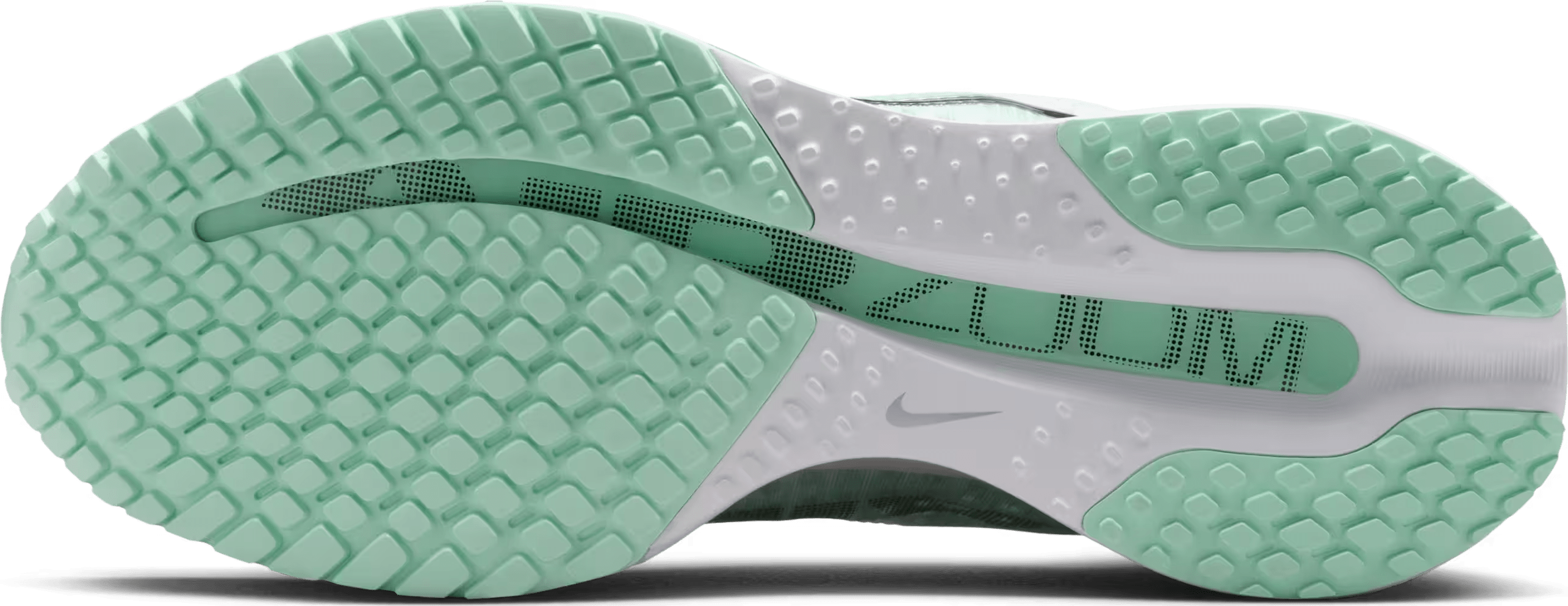 Nike Pegasus Premium Wmns "Mint Foam"