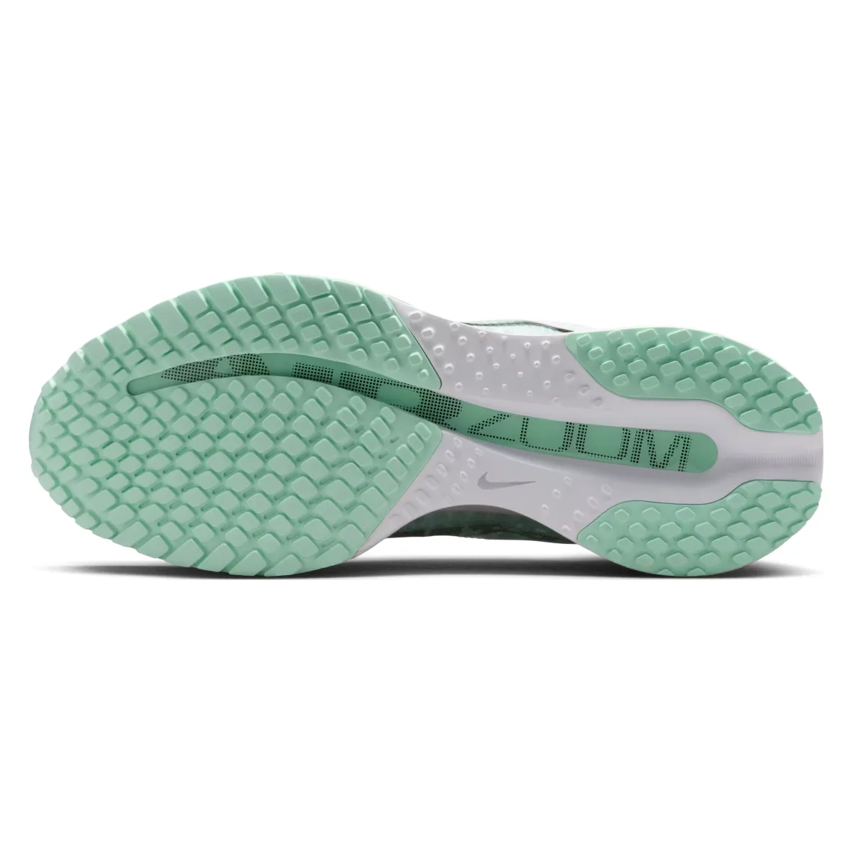 Nike Pegasus Premium Wmns "Mint Foam"