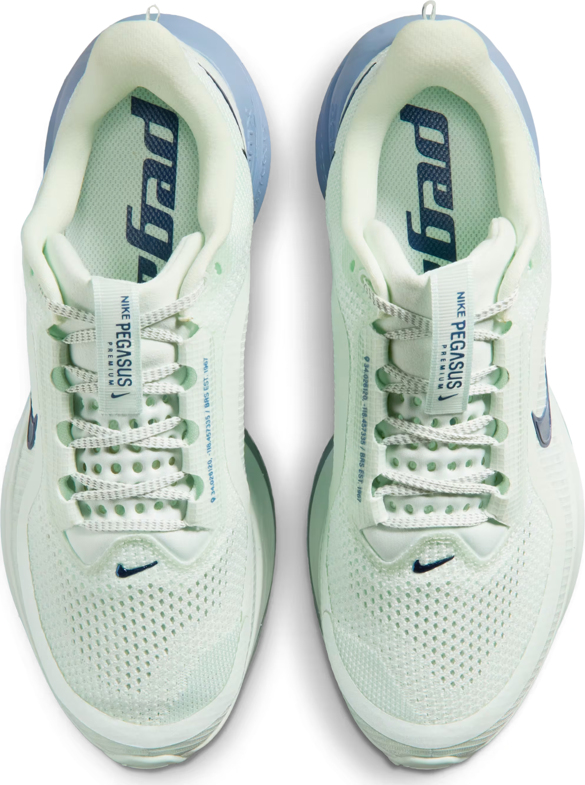 Nike Pegasus Premium "Barely Green Work Blue"