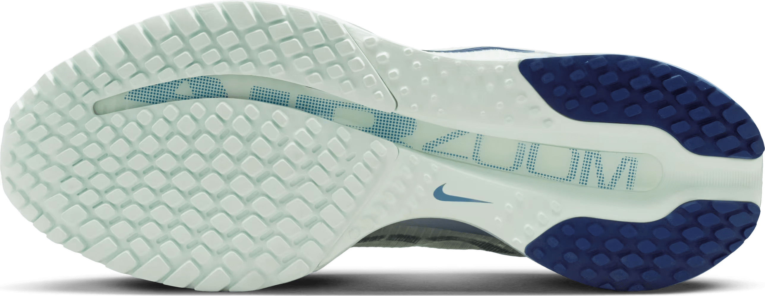 Nike Pegasus Premium "Barely Green Work Blue"