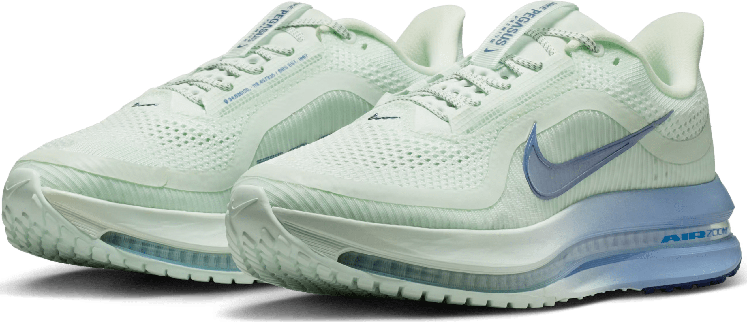 Nike Pegasus Premium "Barely Green Work Blue"