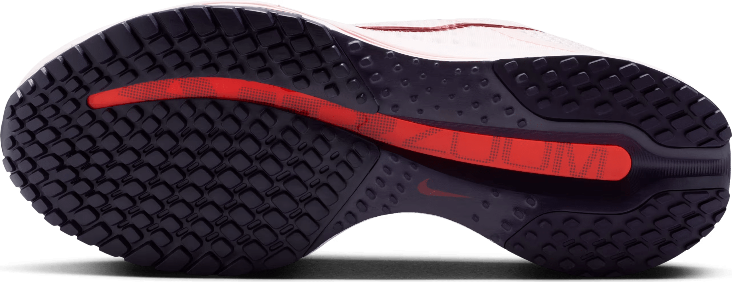 Nike Pegasus Premium Wmns "Purple Dynasty"