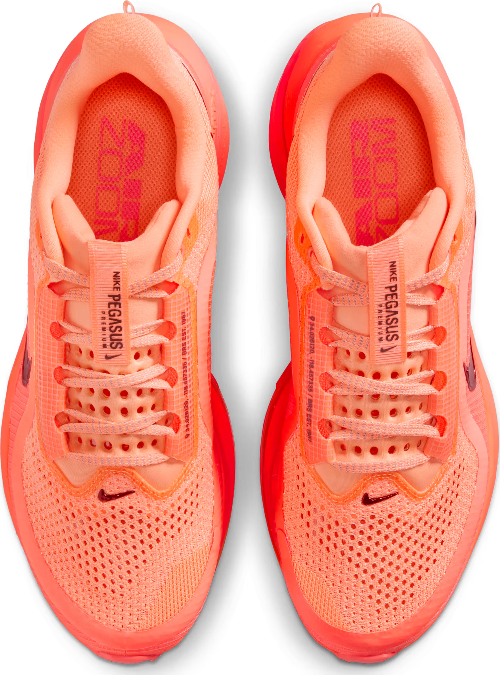 Nike Pegasus Premium "Orange Pulse"