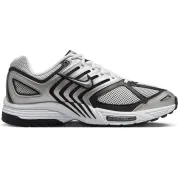 Nike Air Pegasus 2k5 "White Metallic Silver"