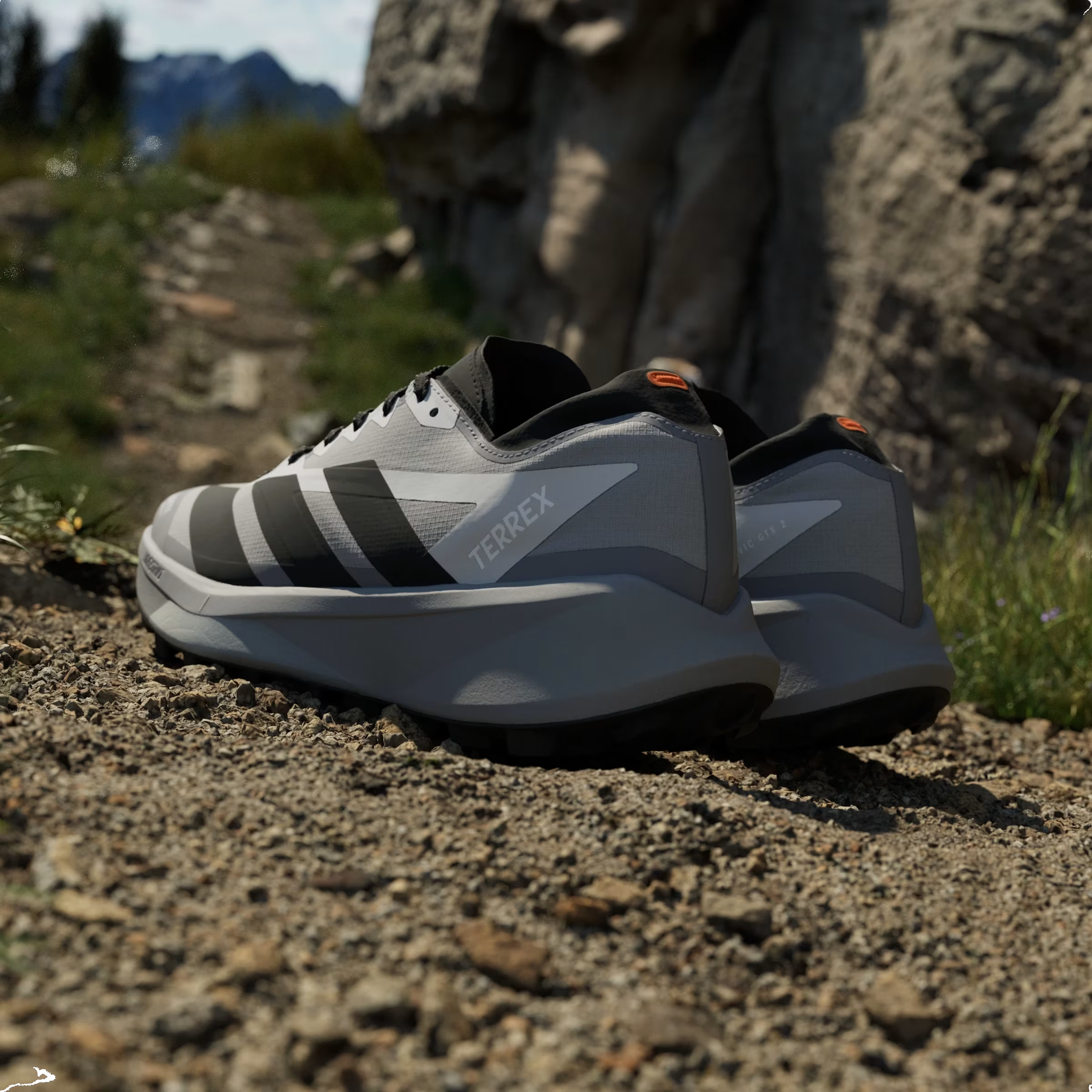 adidas Terrex Agravic GTX 2