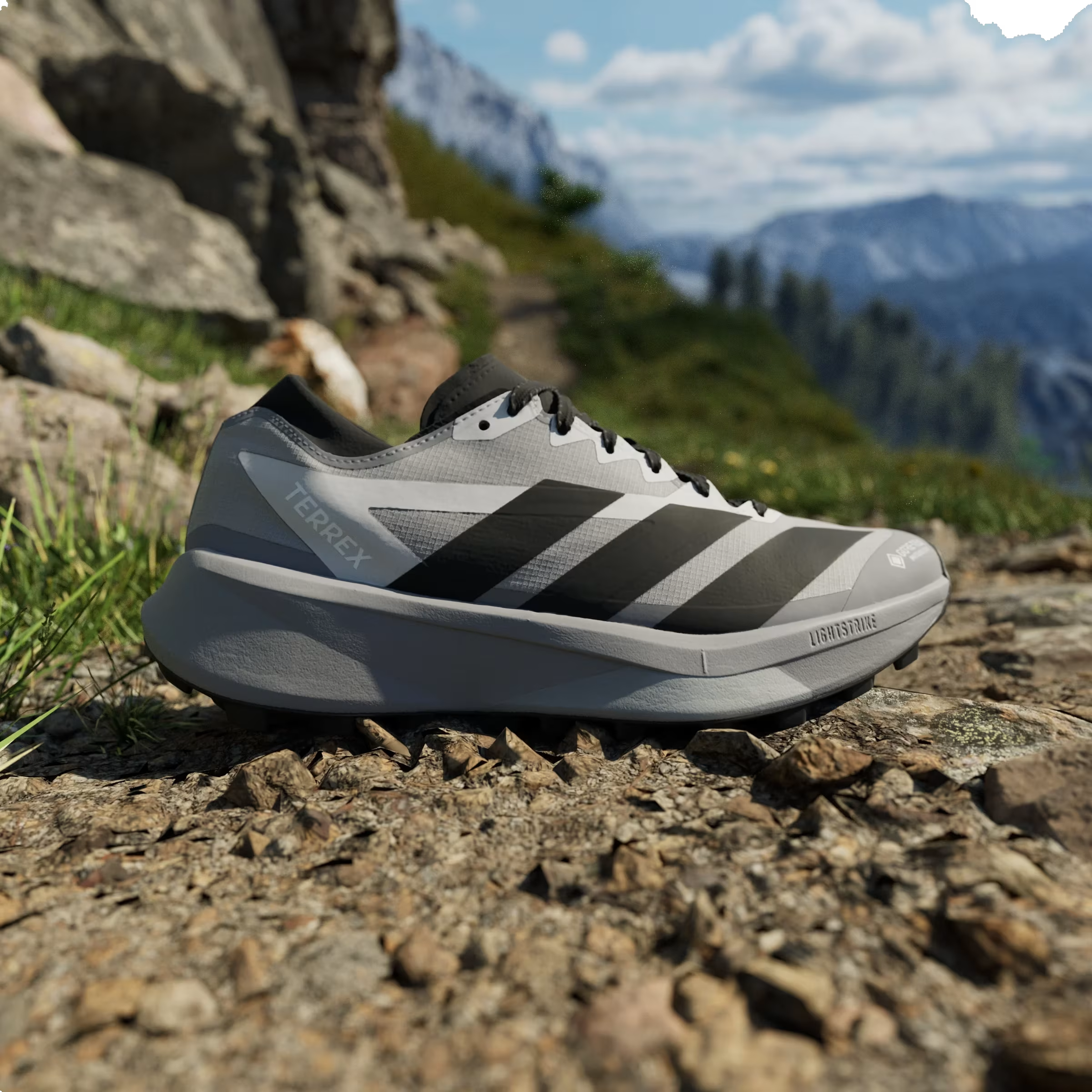 adidas Terrex Agravic GTX 2