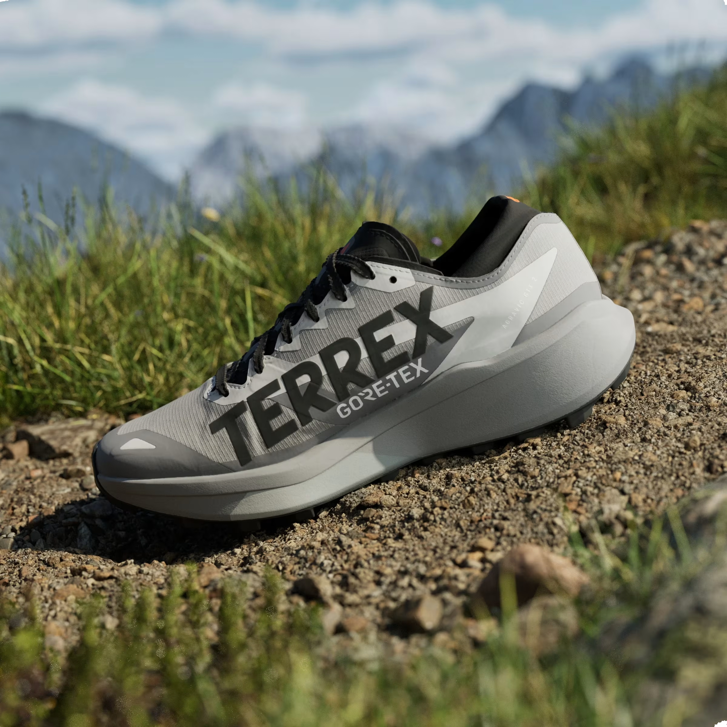 adidas Terrex Agravic GTX 2