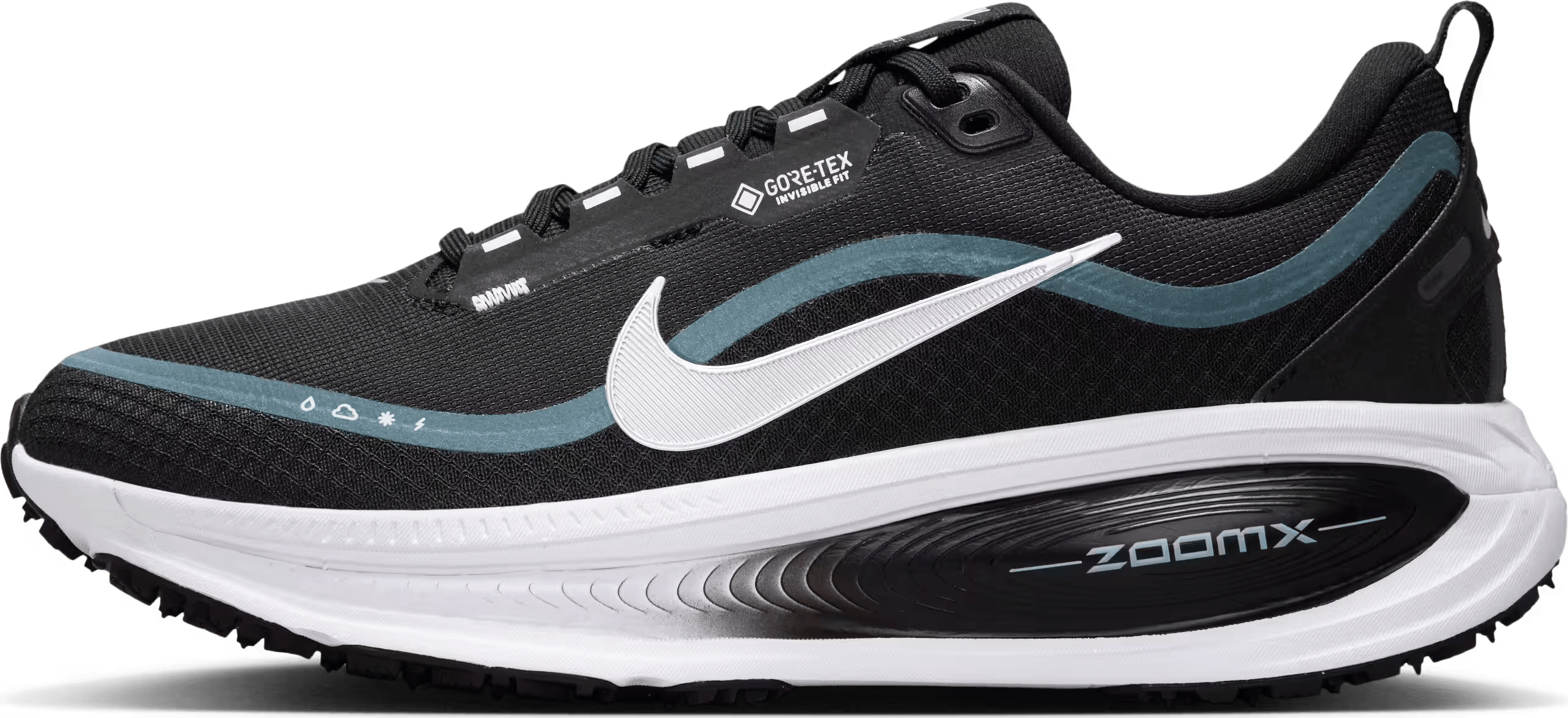 Nike Vomero 18 GORE-TEX Wmns "Black Silver"