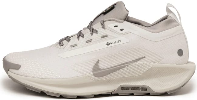 Nike Pegasus Trail 5 SP Gore-Tex "Summit White"