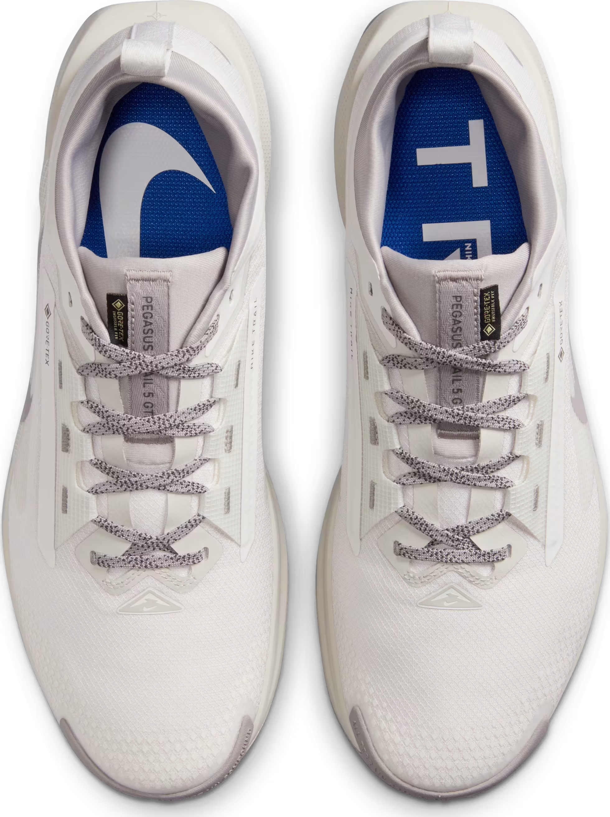 Nike Pegasus Trail 5 SP Gore-Tex "Summit White"