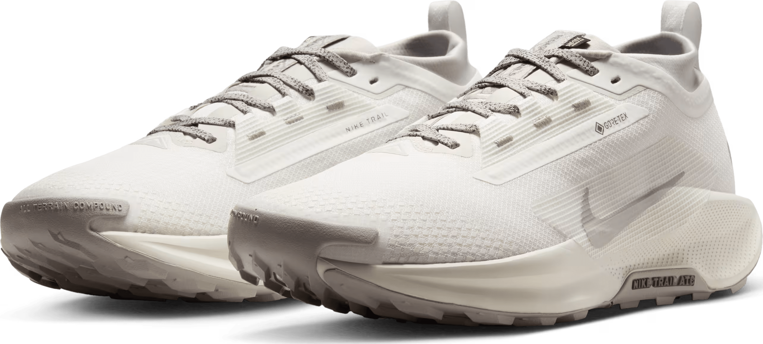 Nike Pegasus Trail 5 SP Gore-Tex "Summit White"