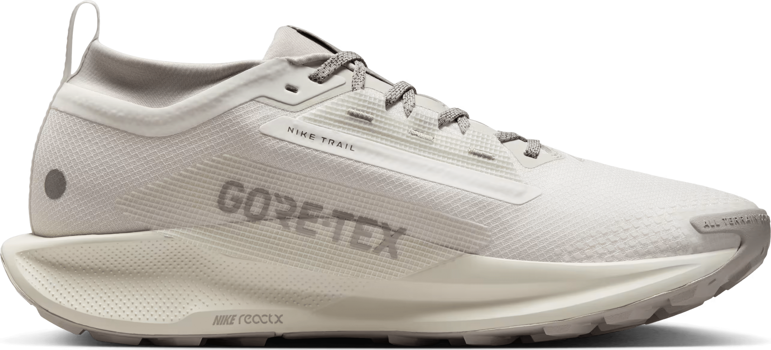 Nike Pegasus Trail 5 SP Gore-Tex "Summit White"