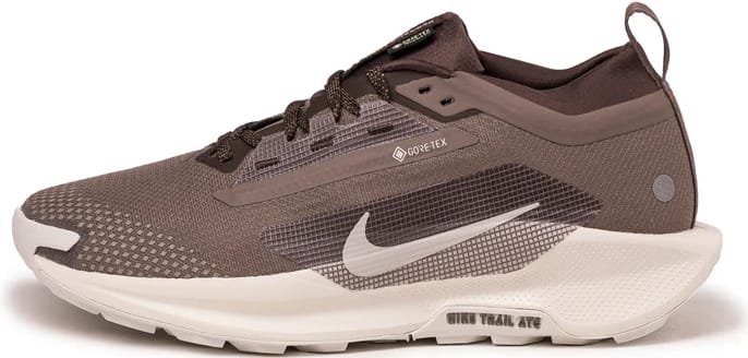 Nike Pegasus Trail 5 SP Gore-Tex "Mink Brown"