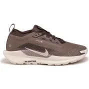 Nike Pegasus Trail 5 SP Gore-Tex "Mink Brown"