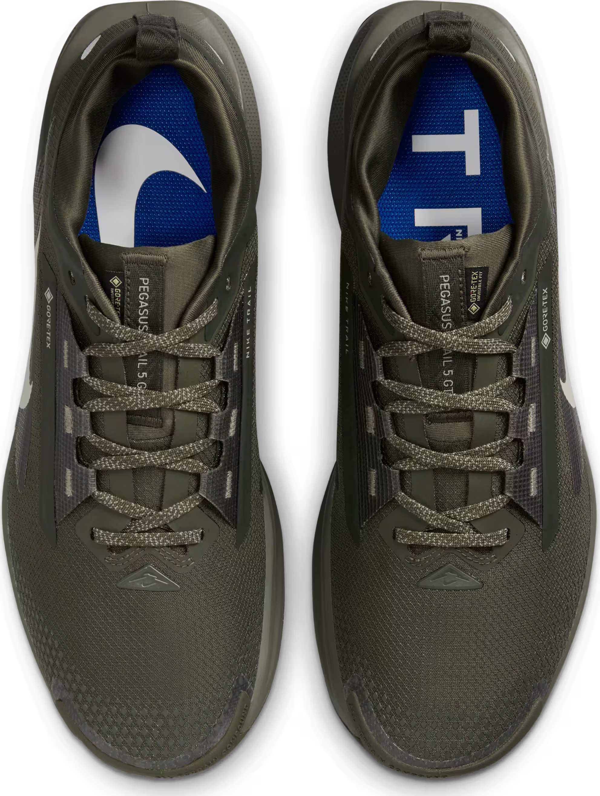 Nike Pegasus Trail 5 Gore-Tex "Sequoia"