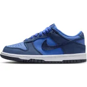 Nike Dunk Low Comet Blue (GS)