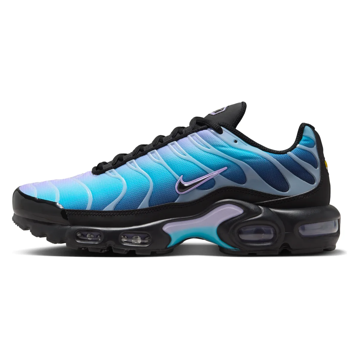 Nike Air Max Plus Wmns "Hydrangeas"