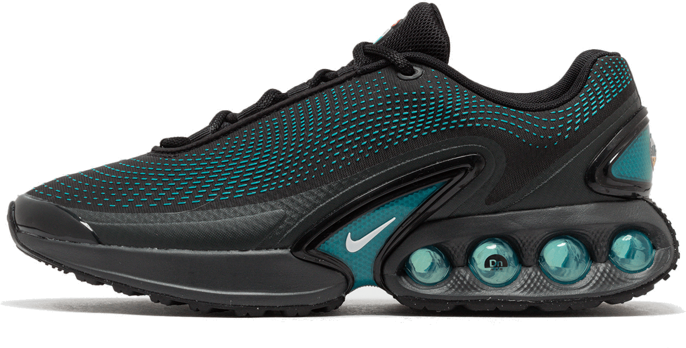 Nike Air Max DN "Black Dusty Cactus"