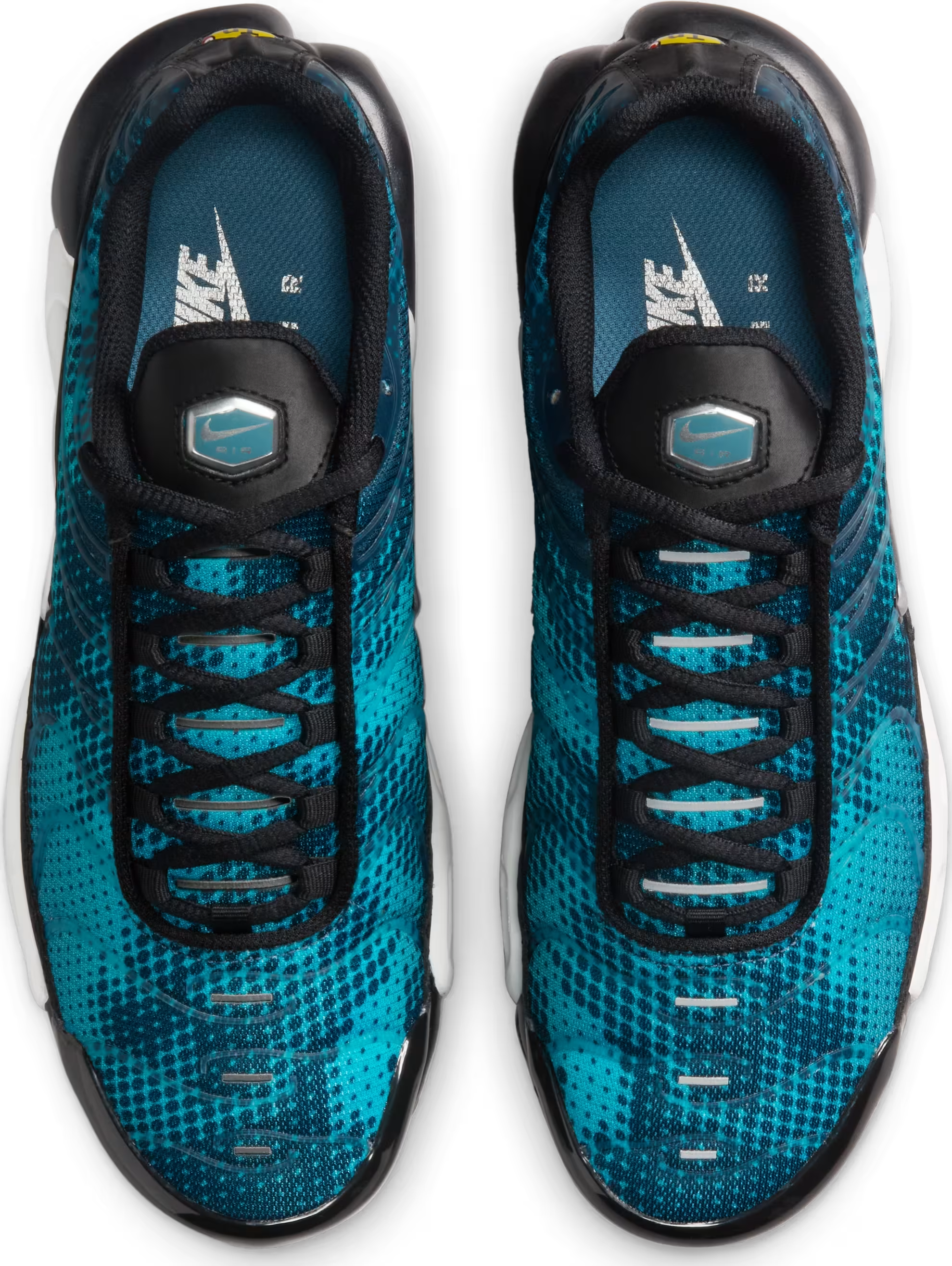 Nike Air Max Plus Wmns "Dusty Cactus"